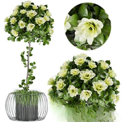 现代花艺盆栽